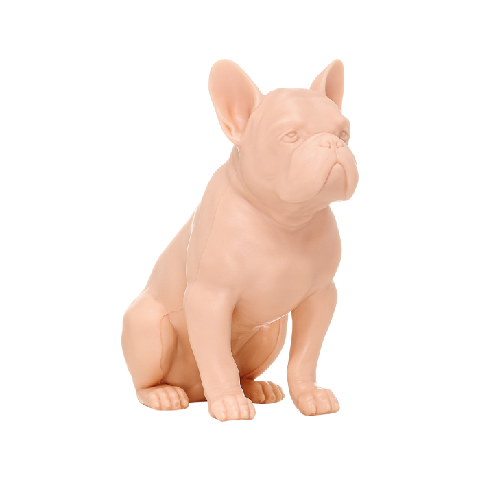 A Pound of Flesh French Bulldog