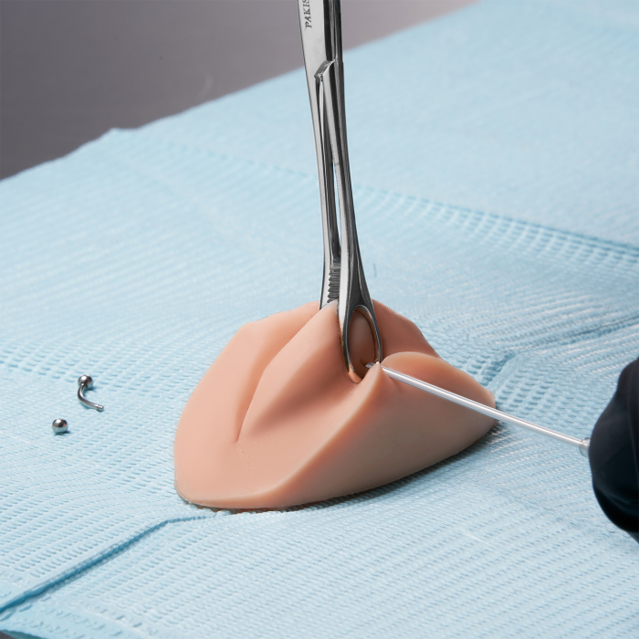 A Pound of Flesh PMU Practice Lips and Piercing Body Bit