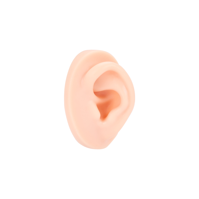 A Pound of Flesh - Tattoo, PMU and Piercing Left Ear