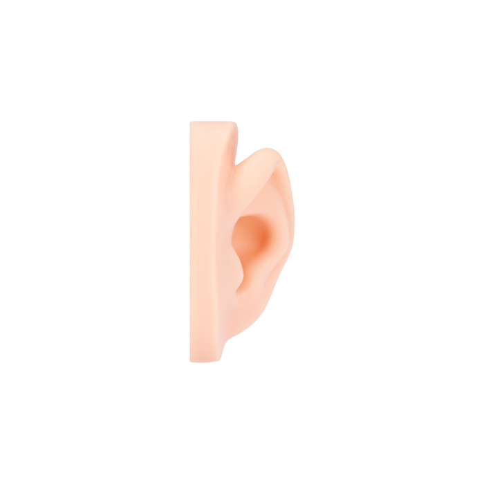 A Pound of Flesh - Tattoo, PMU and Piercing Left Ear