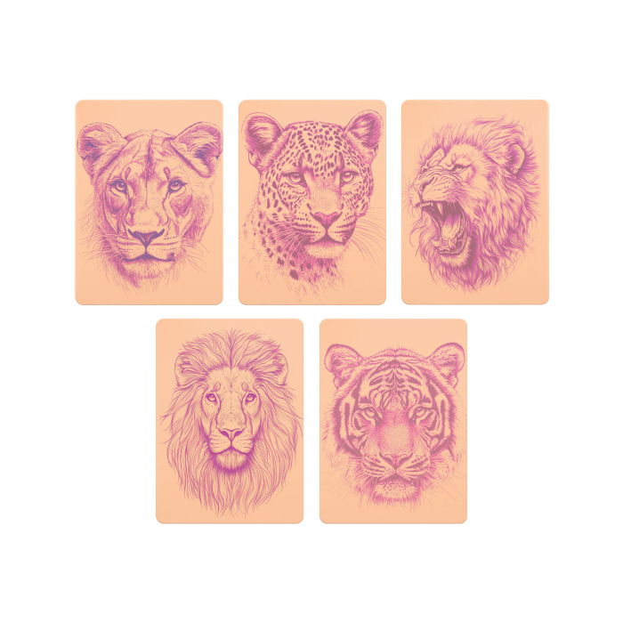 Set of 5 Stencil Skins® Pre-printed Designs - Original