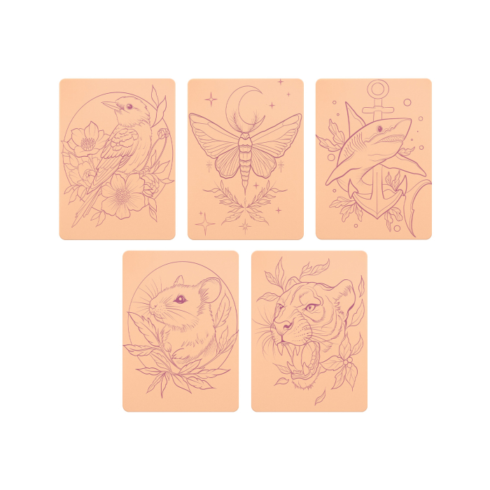 Set of 5 Stencil Skins® Pre-printed Designs - Original