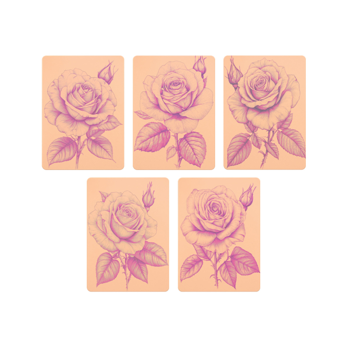 Set of 5 Stencil Skins® Pre-printed Designs - Original
