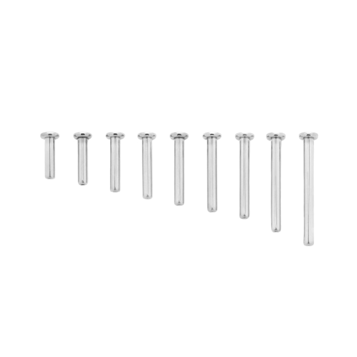Tilum Titanium Threadless Flat Disc Labret Post