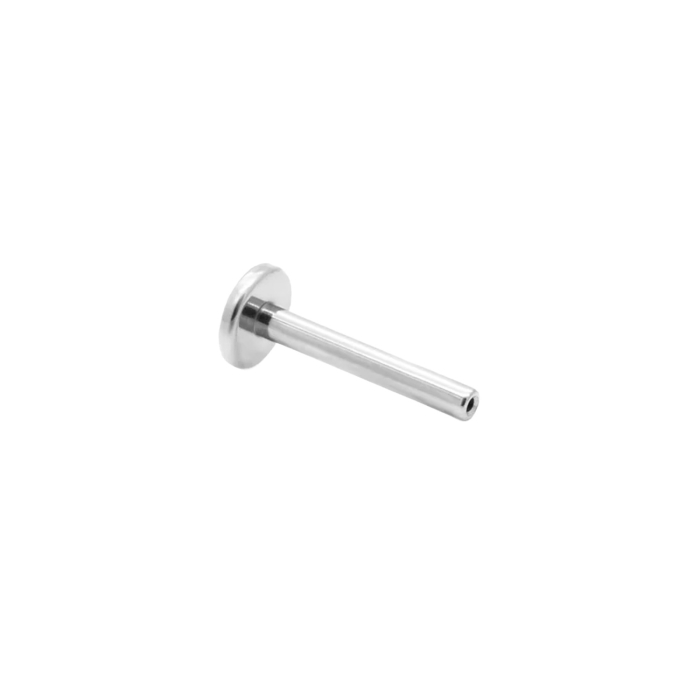 Tilum Titanium Threadless Flat Disc Labret Post